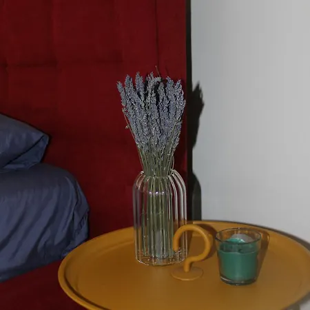 Apartament Lavandula